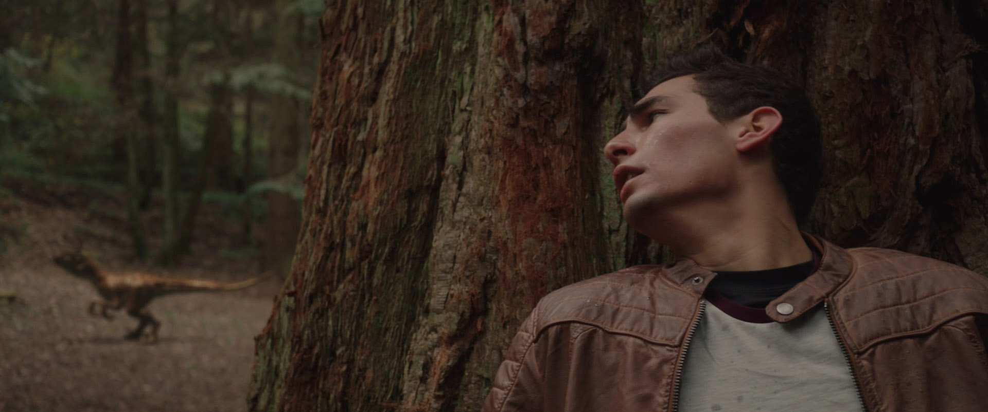 Film project photo sample